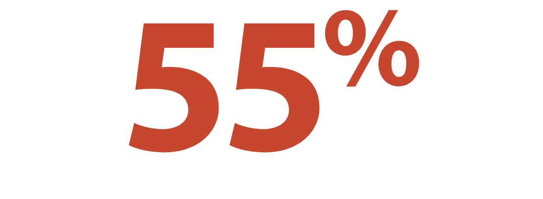 Image of 55 percent as a number