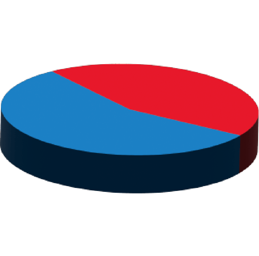 Image of a pie chart showing 44%