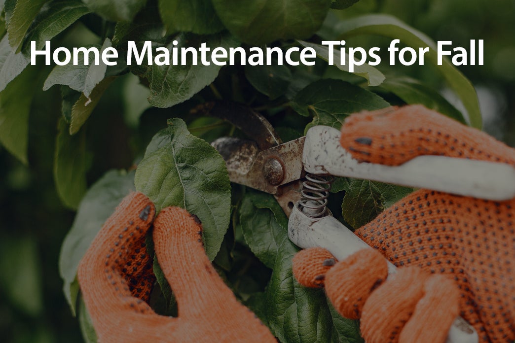 10 Best Outdoor and Indoor Home Maintenance Tips for Fall